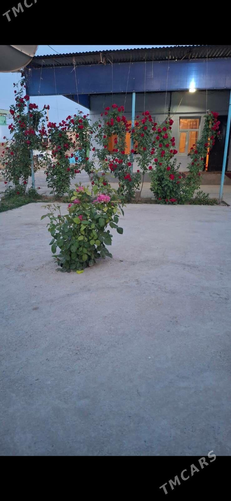 38 OBASY SATLYK PLAN JAY - Ак-Бугдайский этрап - img 4