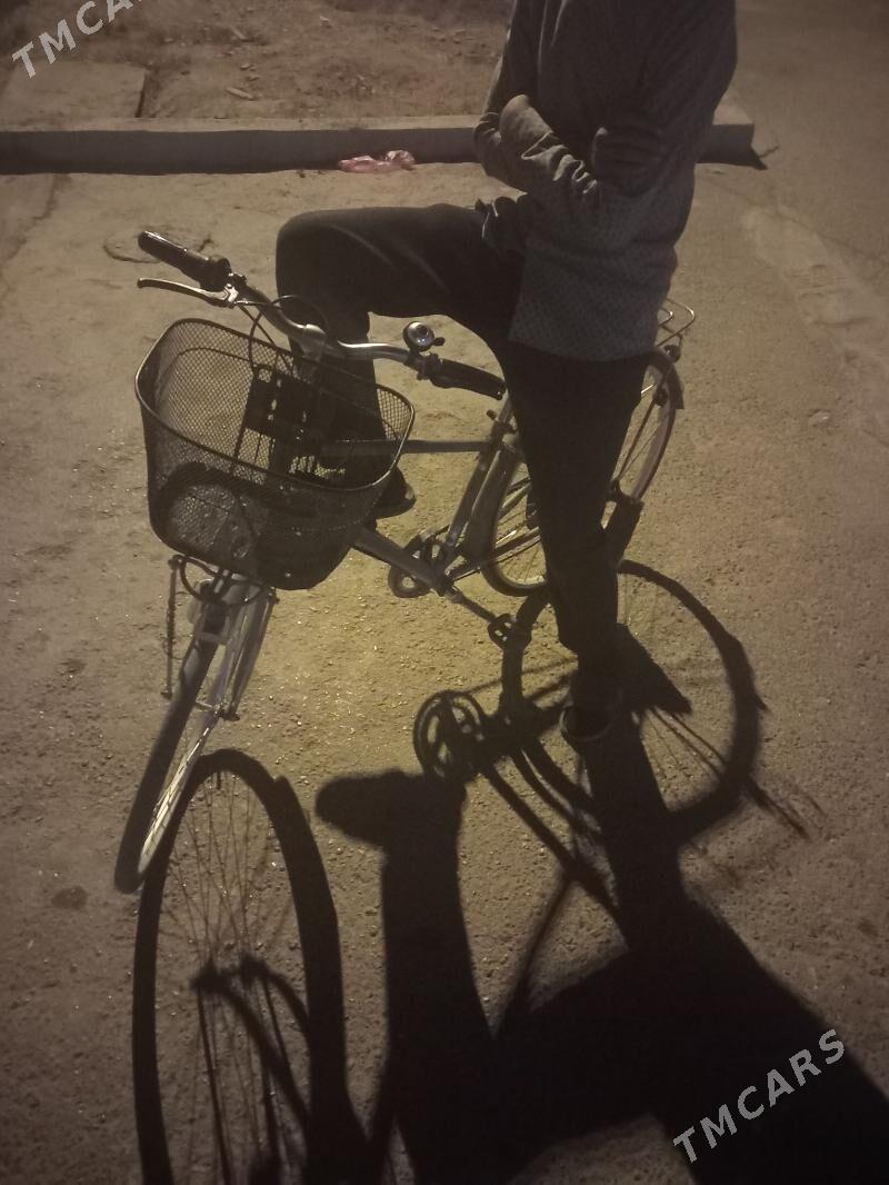 tigir - Бузмеин - img 3