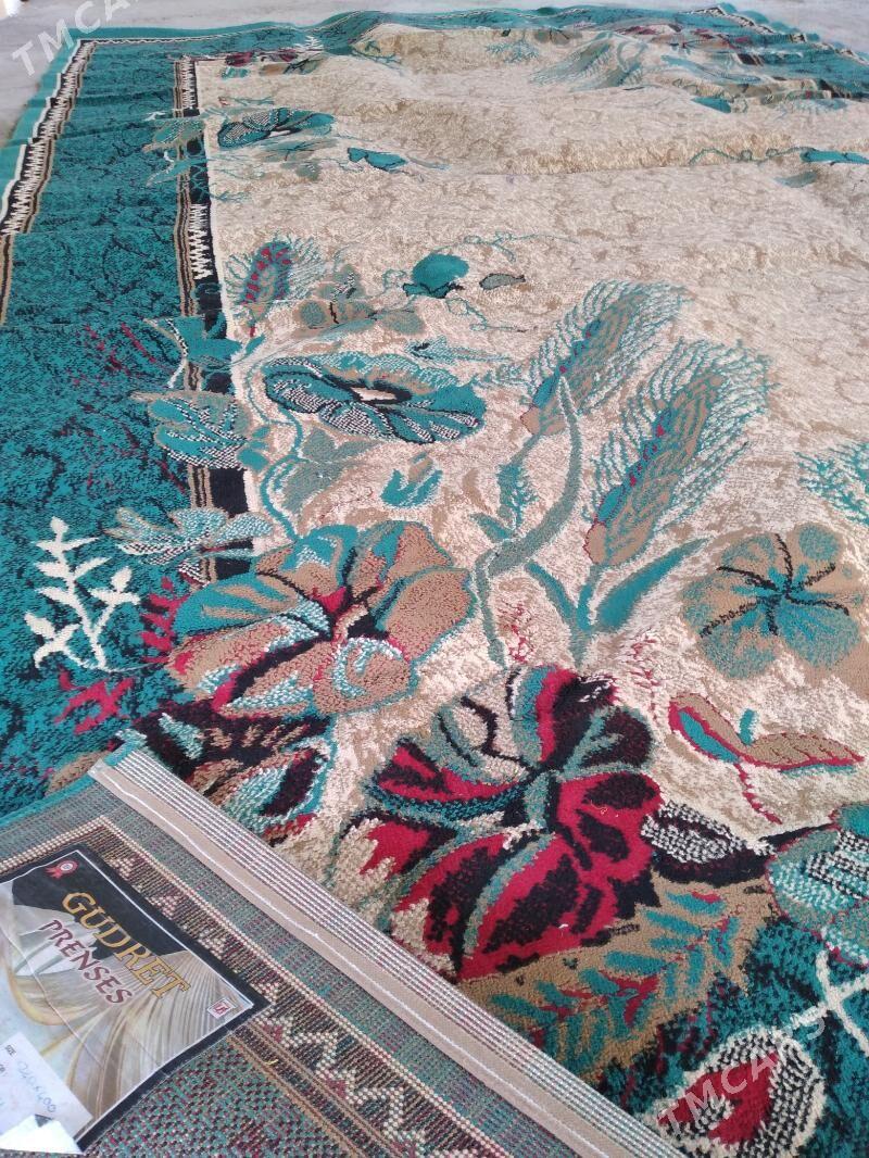 Daroşka - Bagyr - img 1