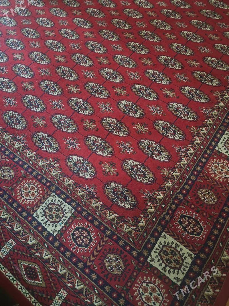 haly - Howdan "W" - img 3