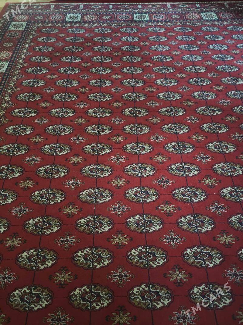 haly - Howdan "W" - img 2