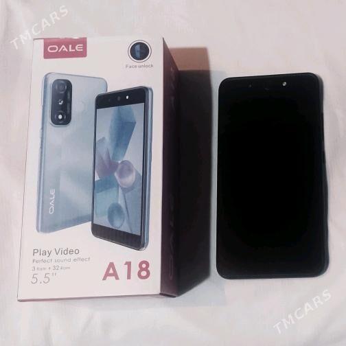 OAle A18 - Чоганлы - img 5