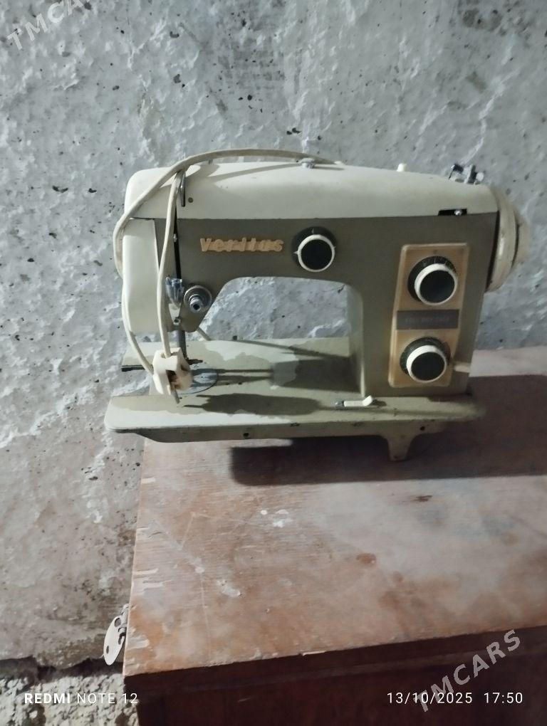 dikin masin - Büzmeýin - img 4