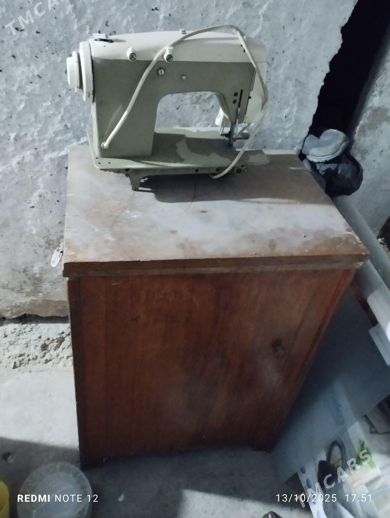 dikin masin - Büzmeýin - img 3