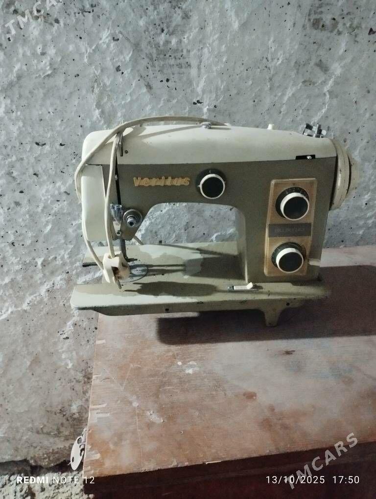 dikin masin - Büzmeýin - img 2