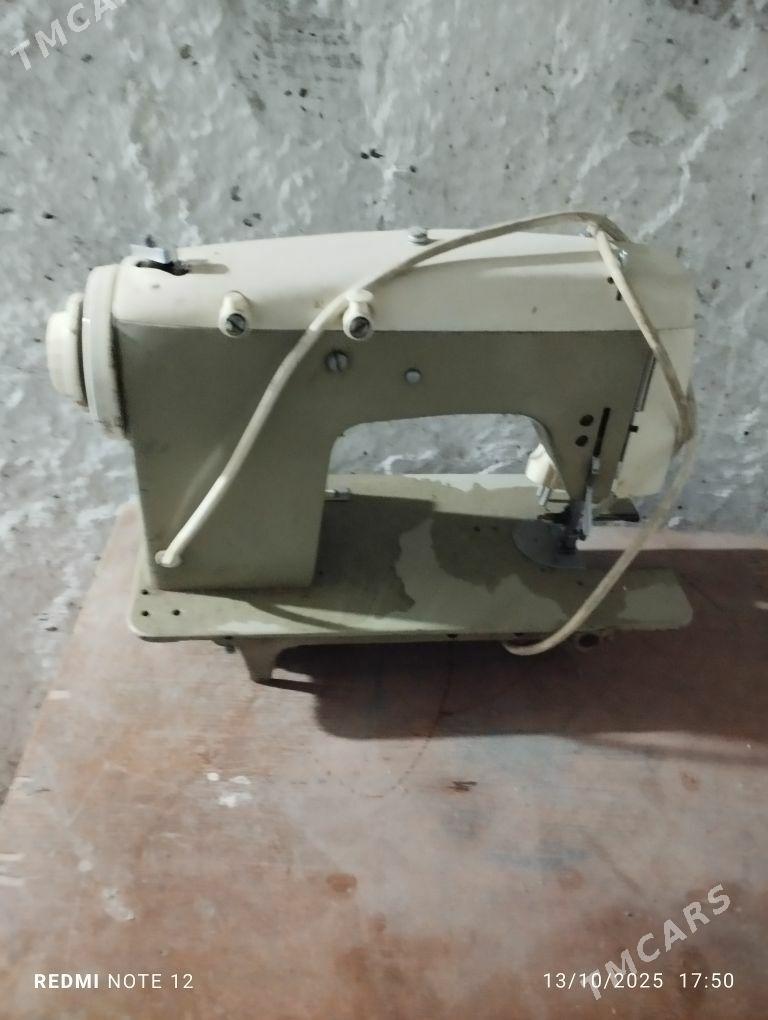 dikin masin - Büzmeýin - img 1