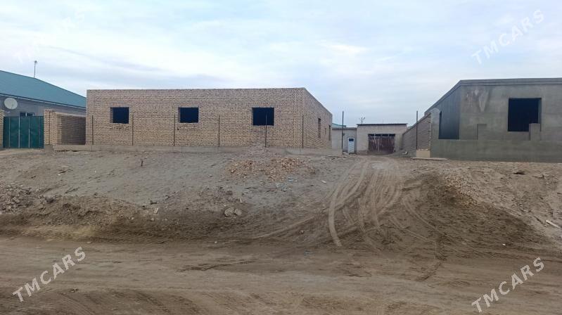 jay - Daşoguz - img 2