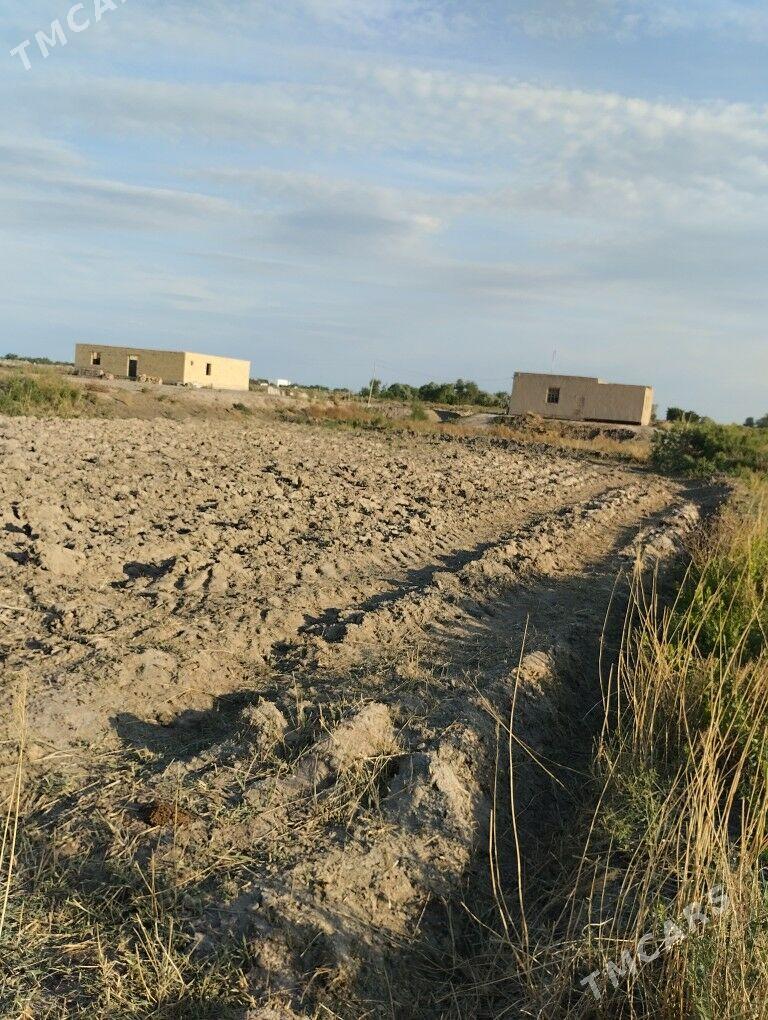 jaý mellek - Şabat etr. - img 1