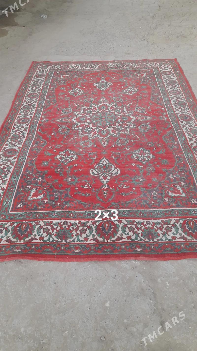 Haly - Ашхабад - img 3