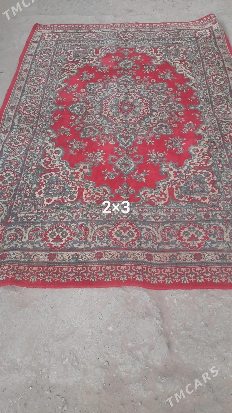 Haly - Ашхабад - img 5