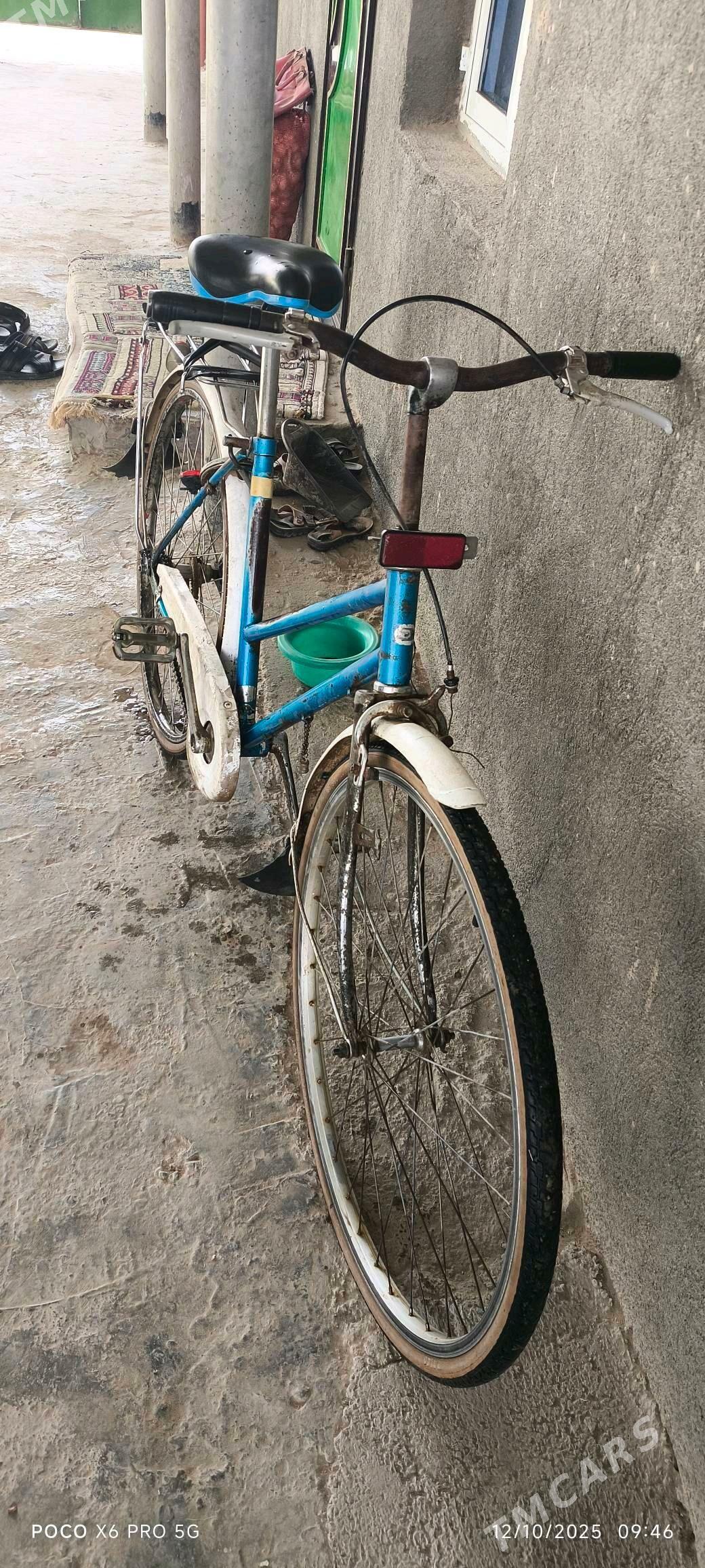 tigir - Babadaýhan - img 2