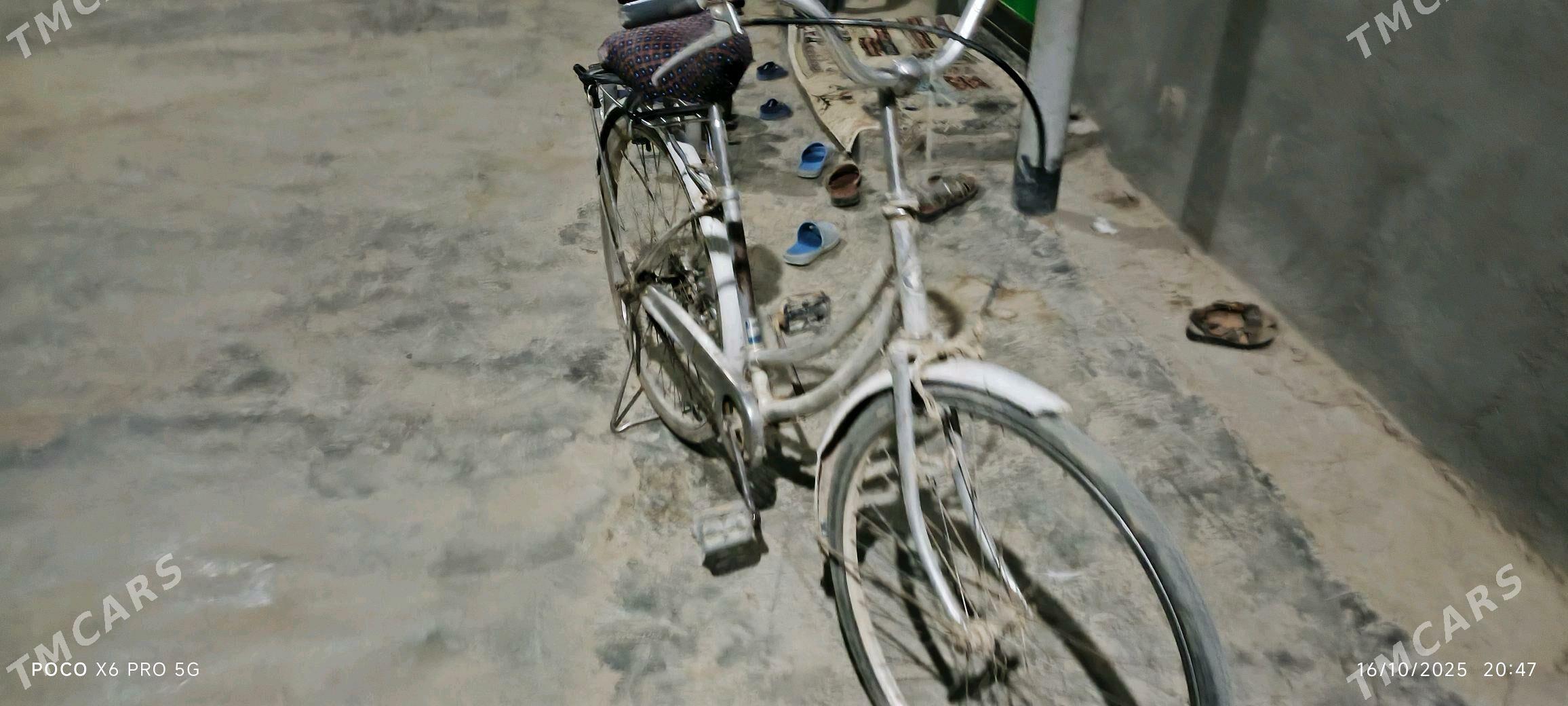 tigir - Babadaýhan - img 5