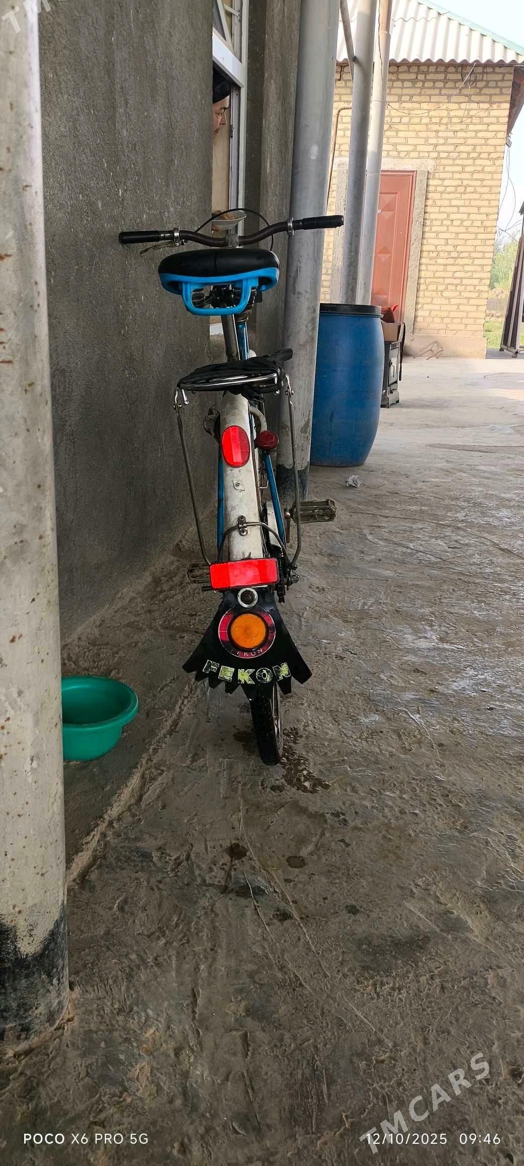 tigir - Babadaýhan - img 3