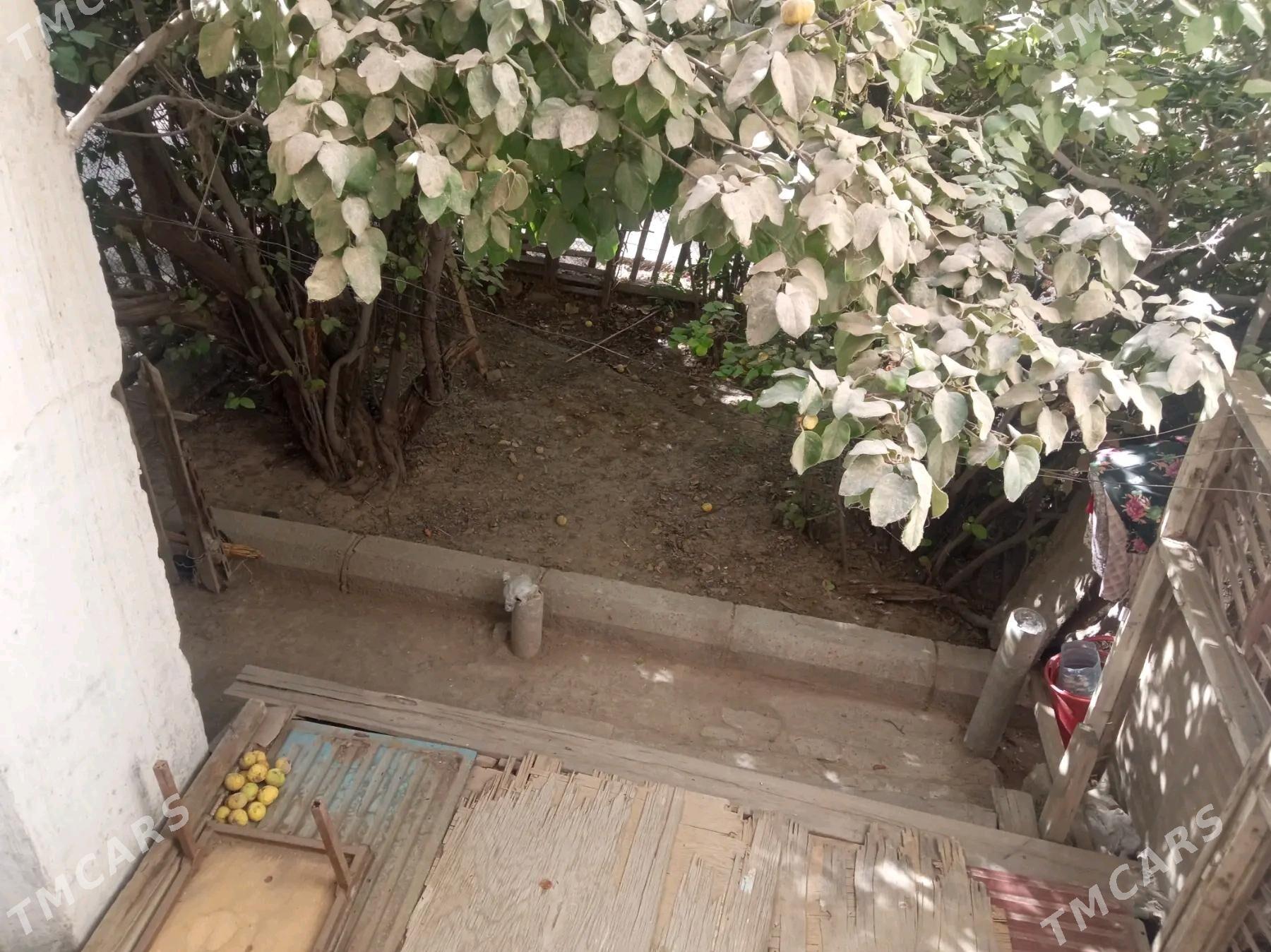 Квартира в Ныгмате - Daşoguz - img 4