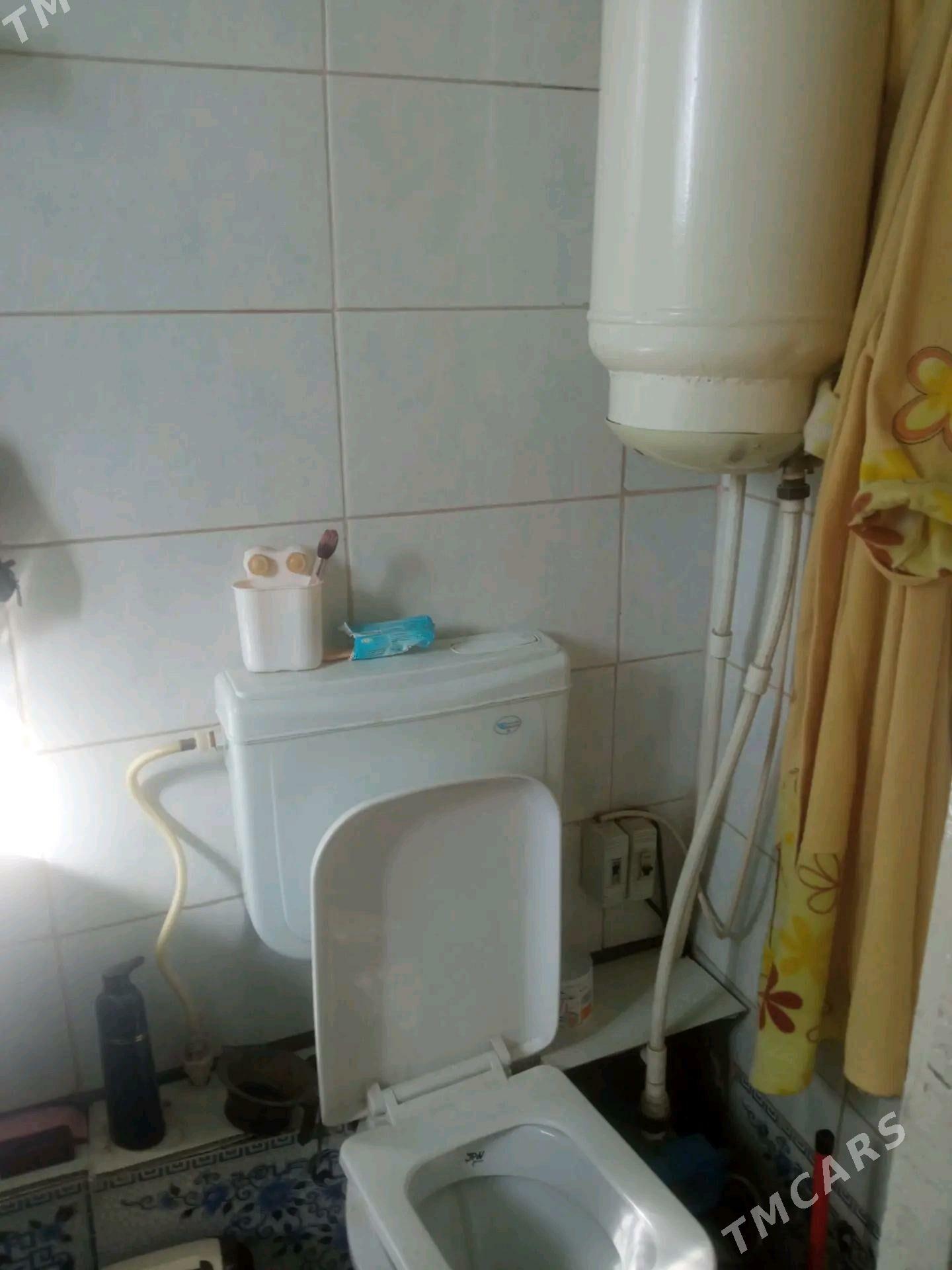 satlyk jay - Мары - img 2