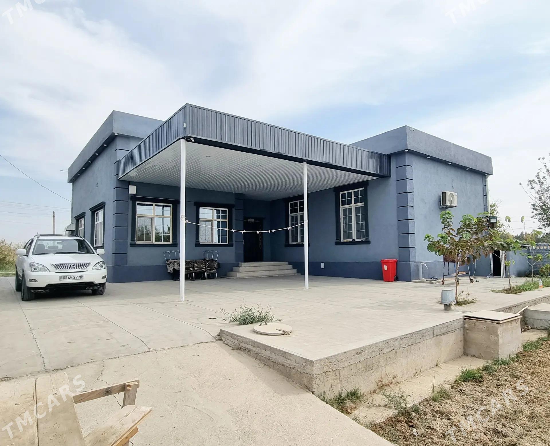 Murgap yol - Мары - img 2