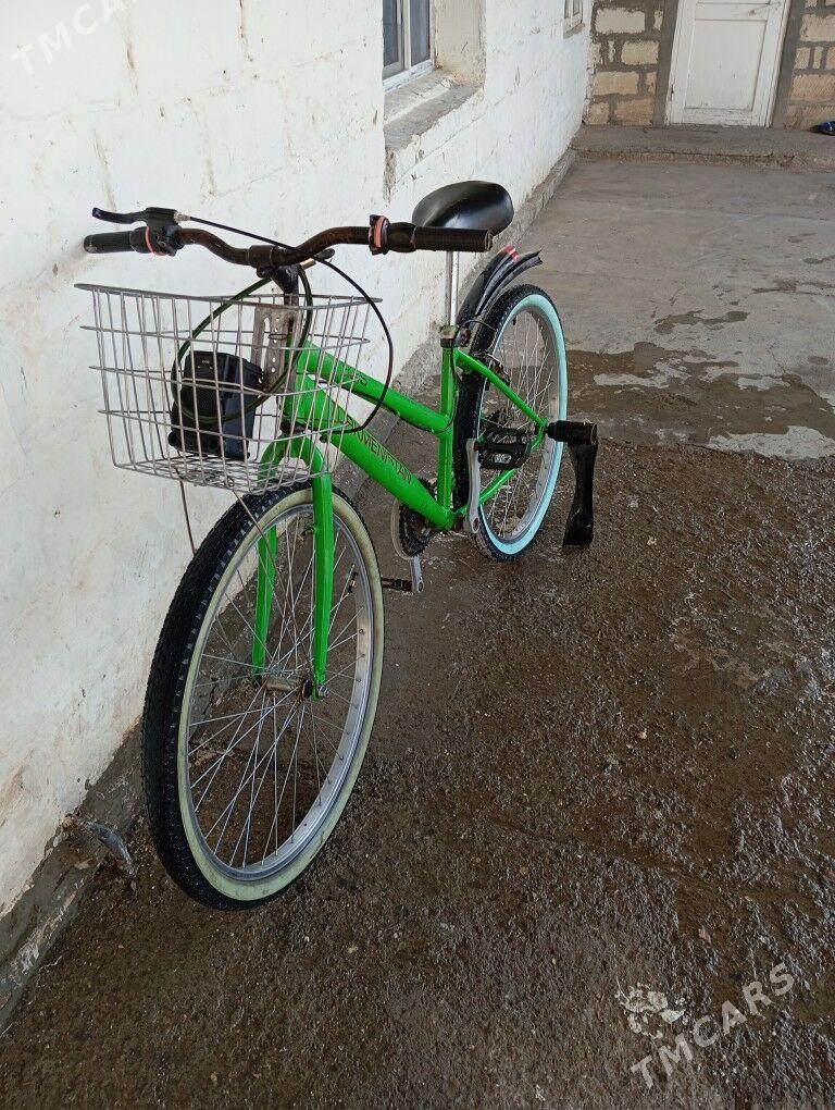 tigir - Gyzylarbat - img 2