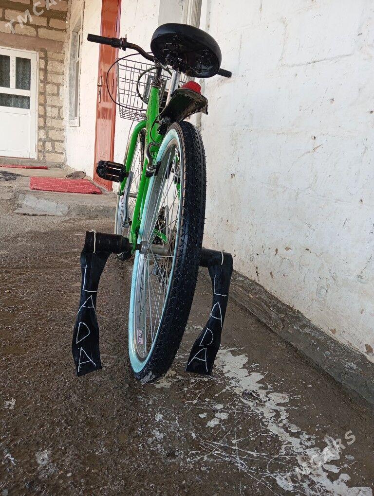 tigir - Gyzylarbat - img 3