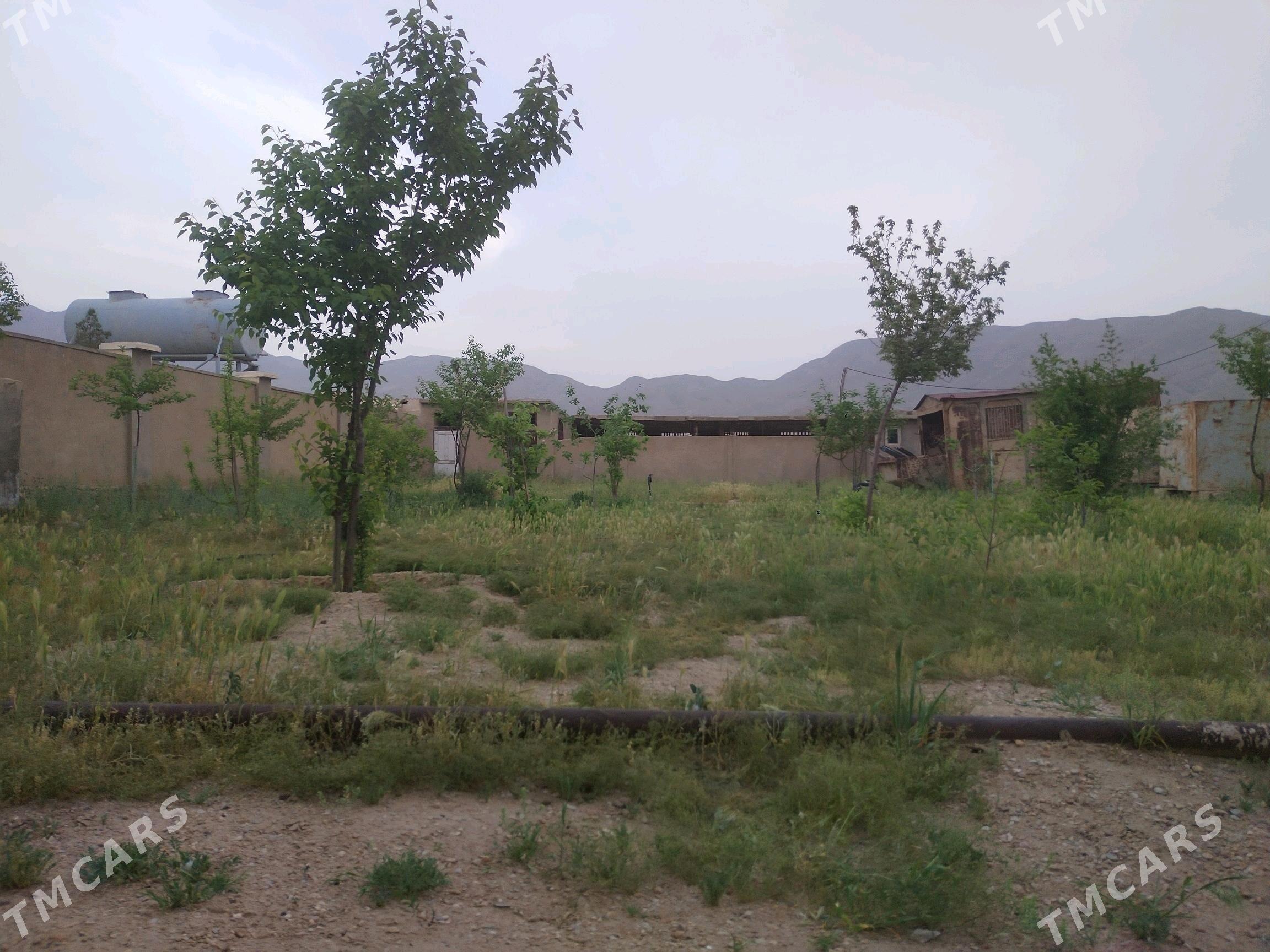 Emlak dacha - Balkanabat - img 2