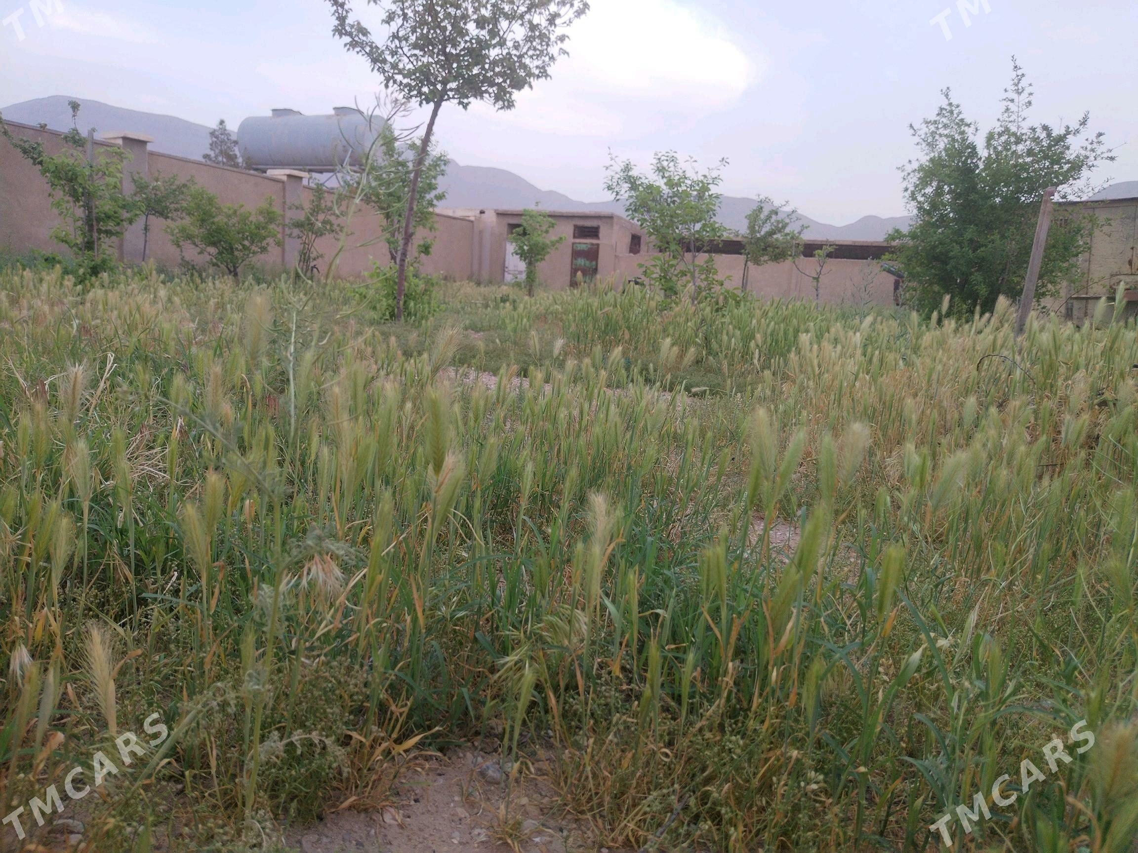 Emlak dacha - Balkanabat - img 1