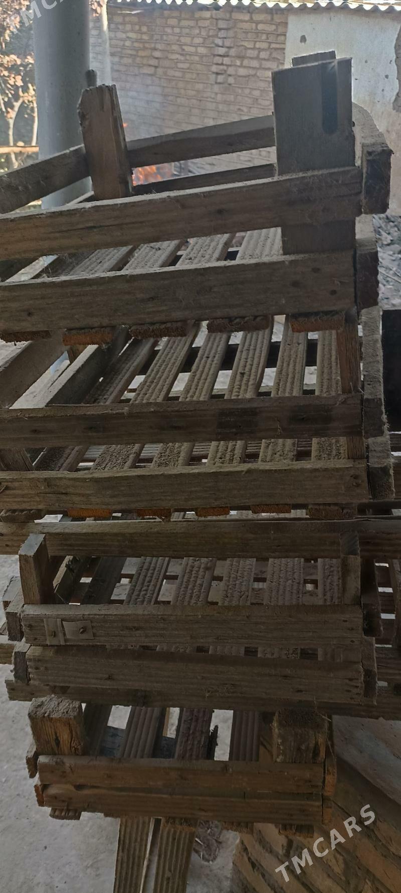 Pamidor Ýaşik - Baýramaly - img 2