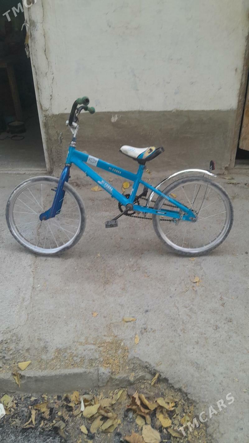 Tigir - Gökdepe - img 1