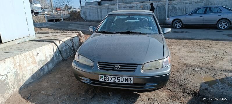 lisicka fara,bagaz 1 000 TMT - Мары - img 2