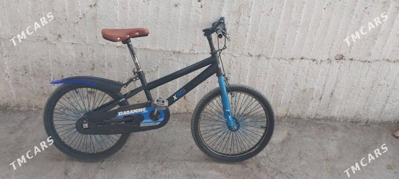 Tigir - Багир - img 1