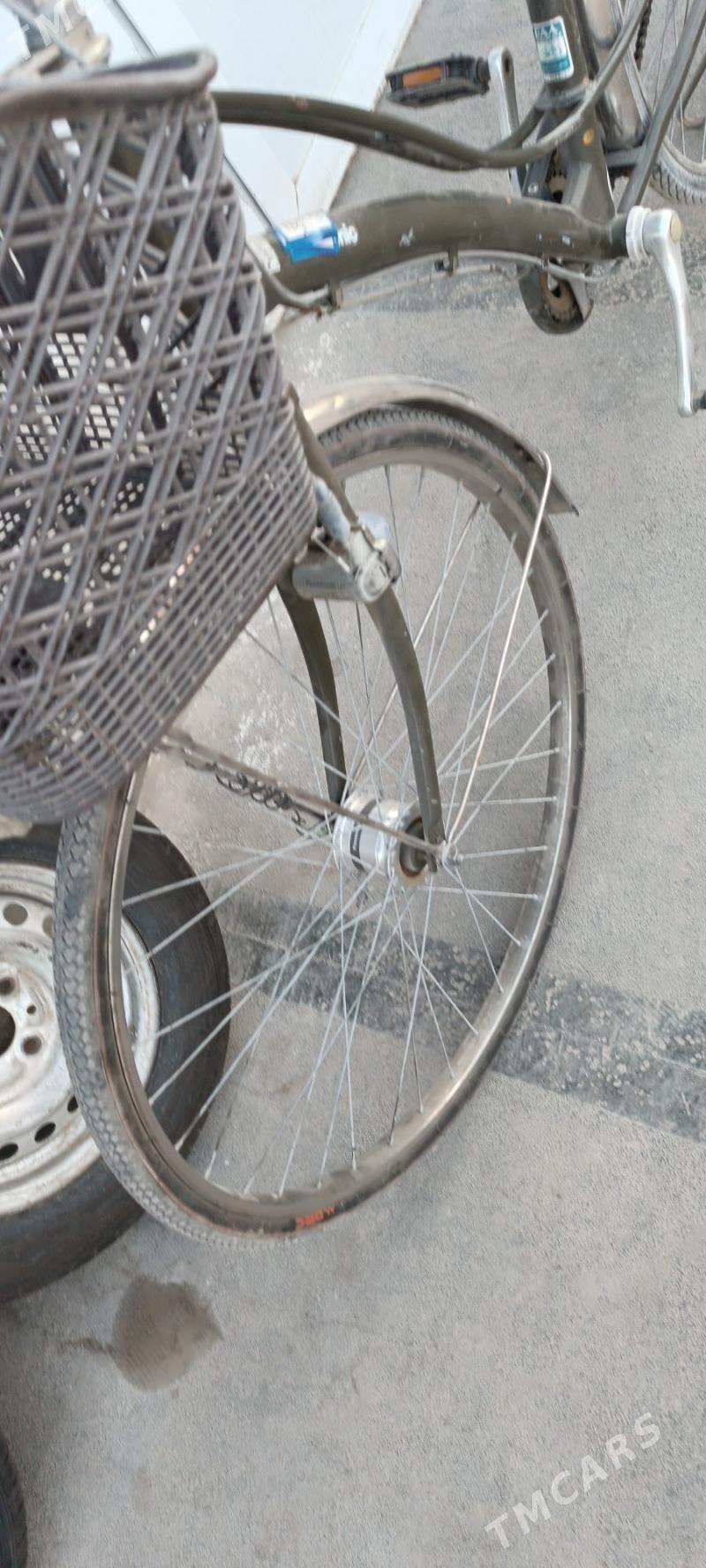 welisoped - Mary - img 4