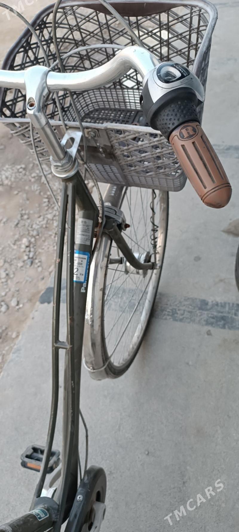 welisoped - Mary - img 7