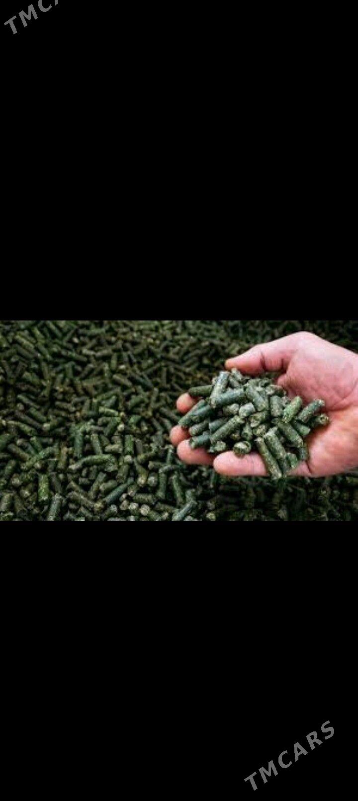 ot uweyan - Aşgabat - img 2