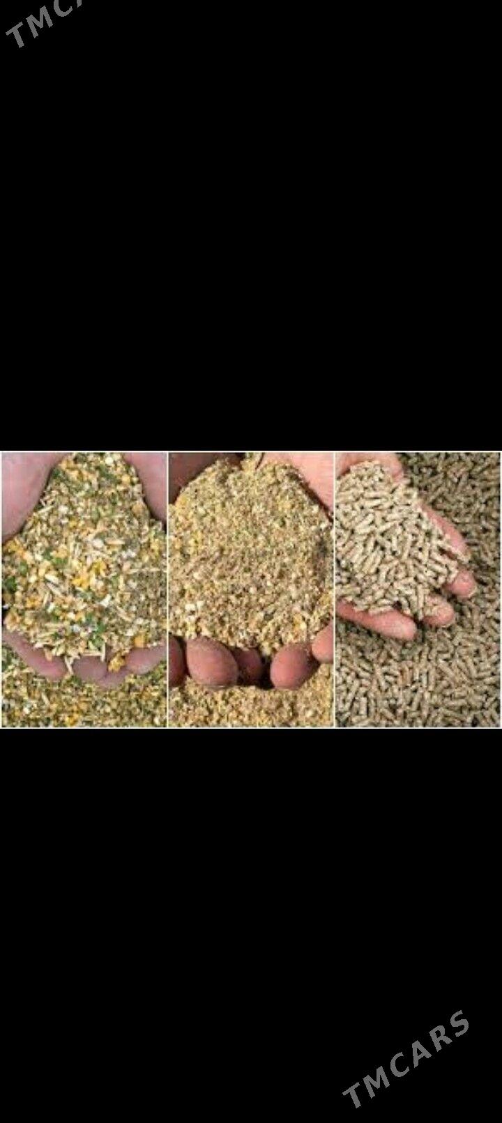 ot uweyan - Aşgabat - img 1