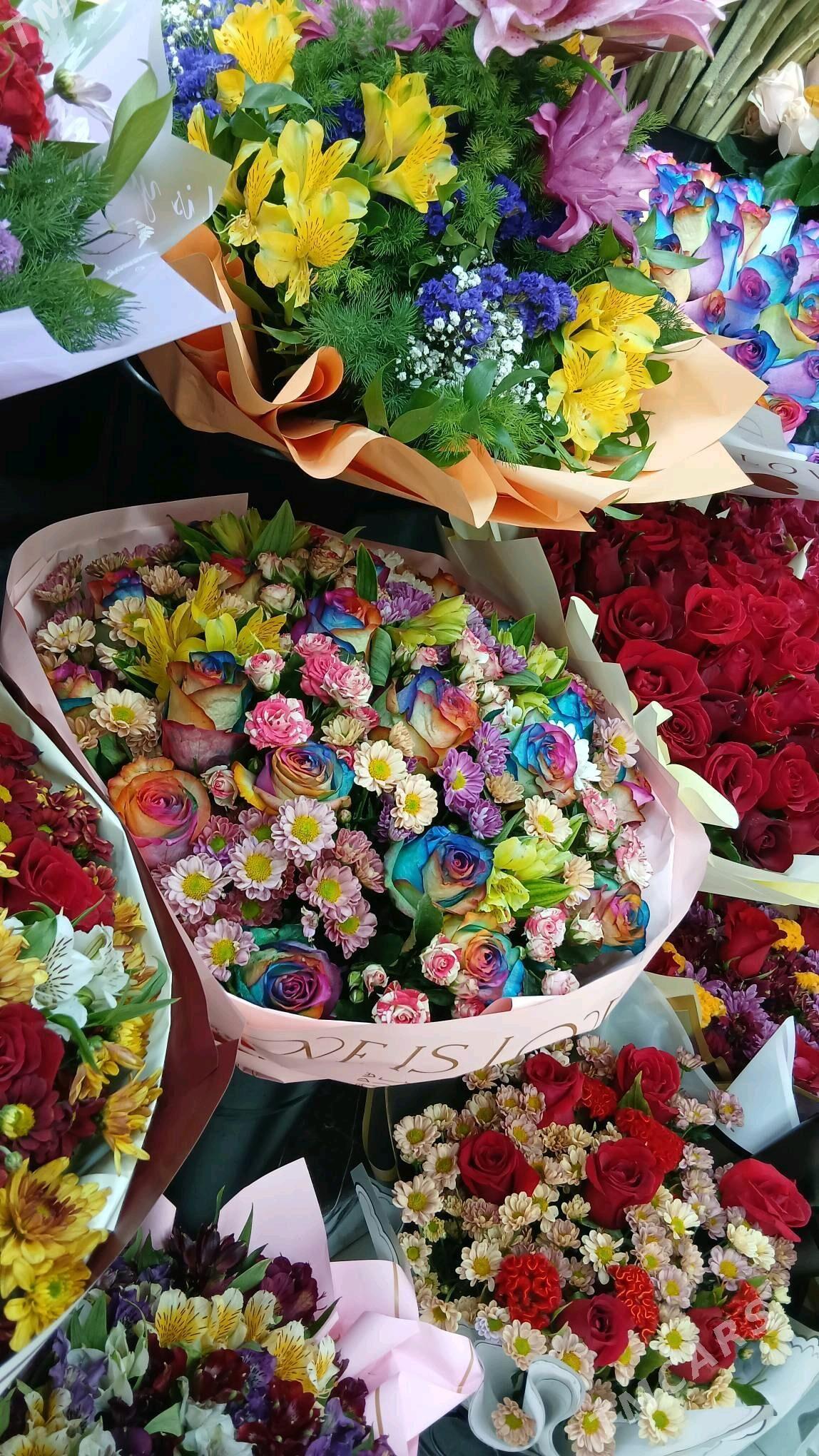 gul magazyn - 10 mkr - img 3