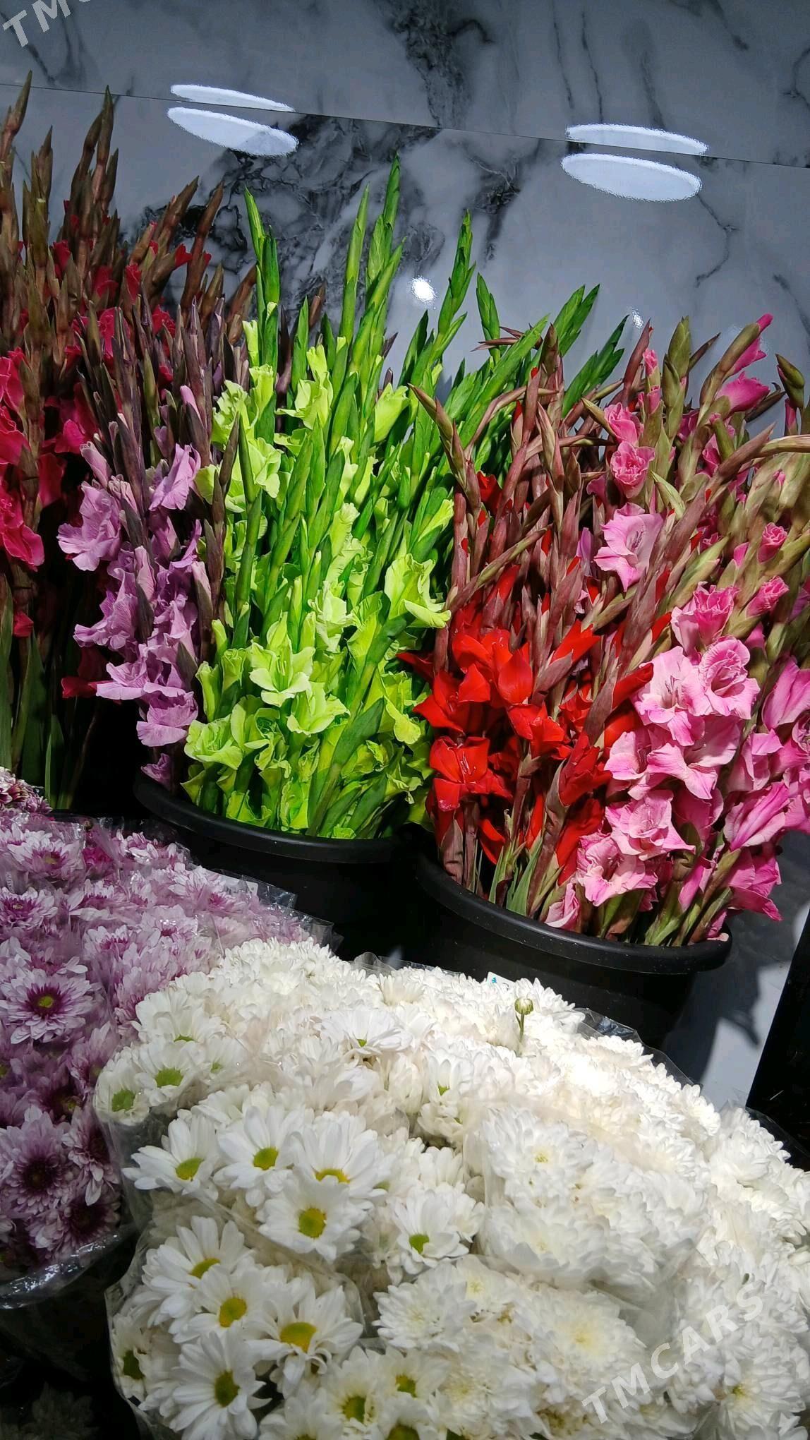 gul magazyn - 10 mkr - img 2