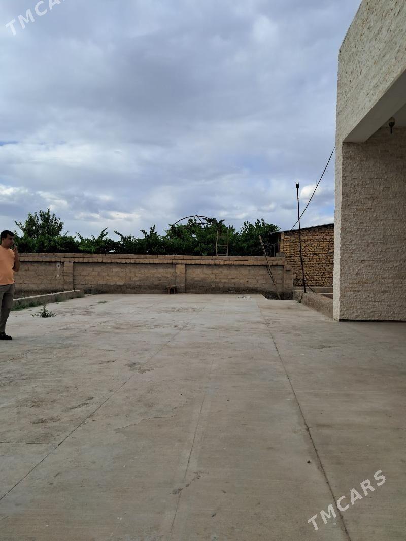 Çapaýew kalhoz - Туркменабат - img 3