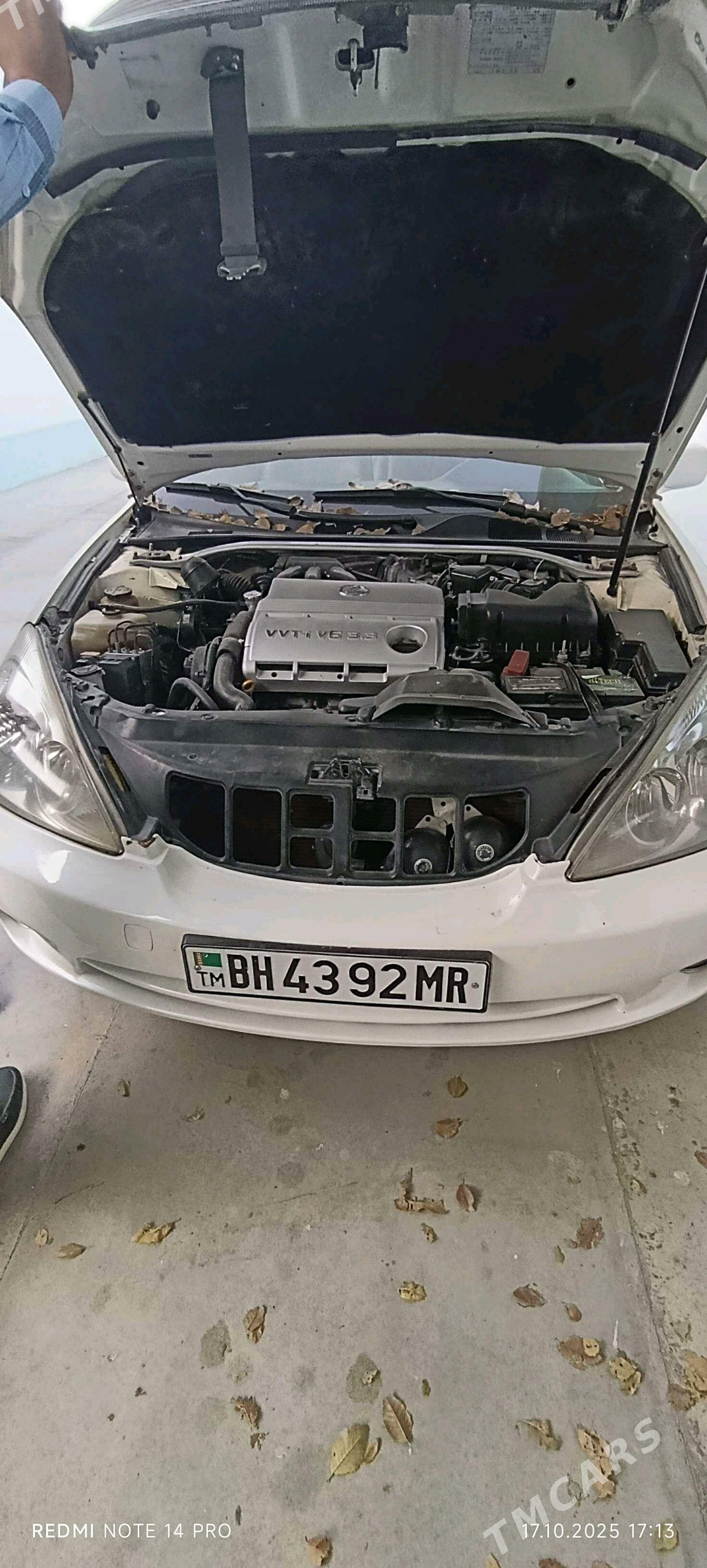 Lexus ES 330 2005 - 195 000 TMT - Анев - img 1