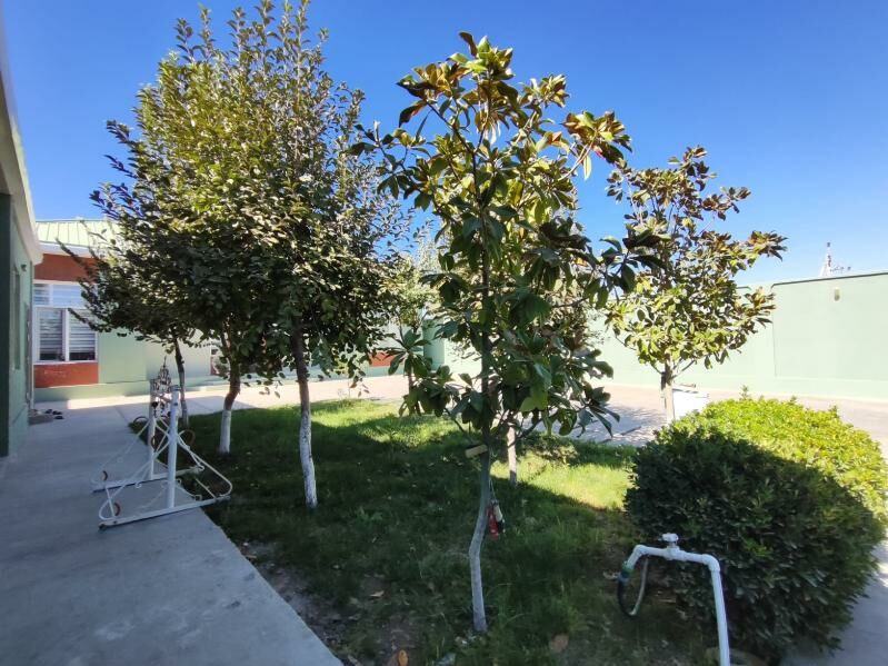 BEKREWE 8 SOTOK - Aşgabat - img 1