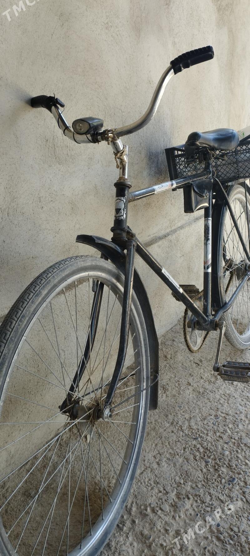 Tigir - Ýaşlyk - img 3