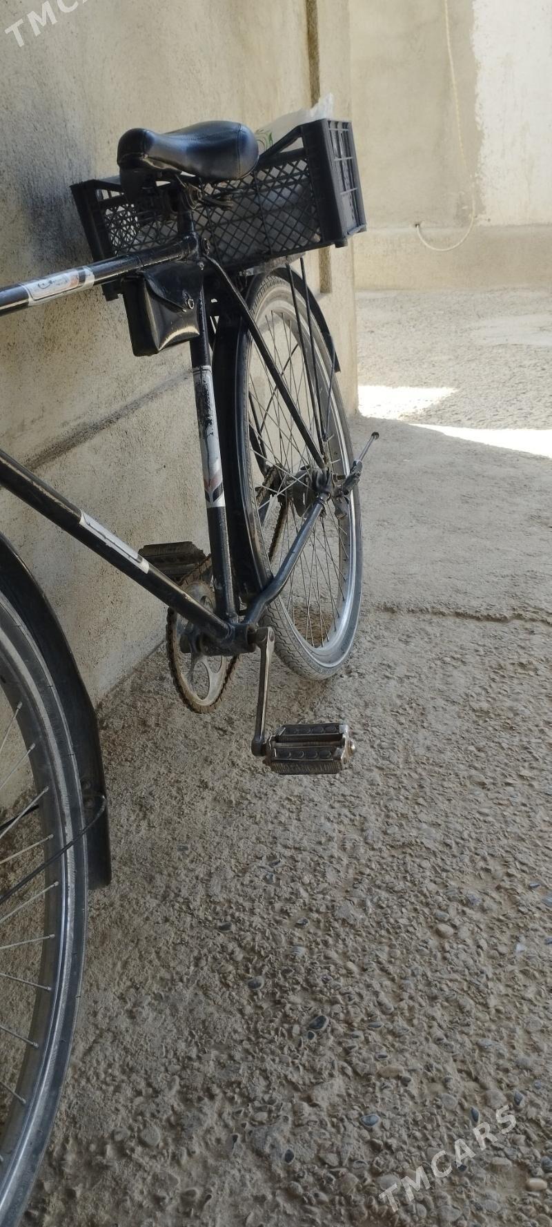 Tigir - Ýaşlyk - img 2