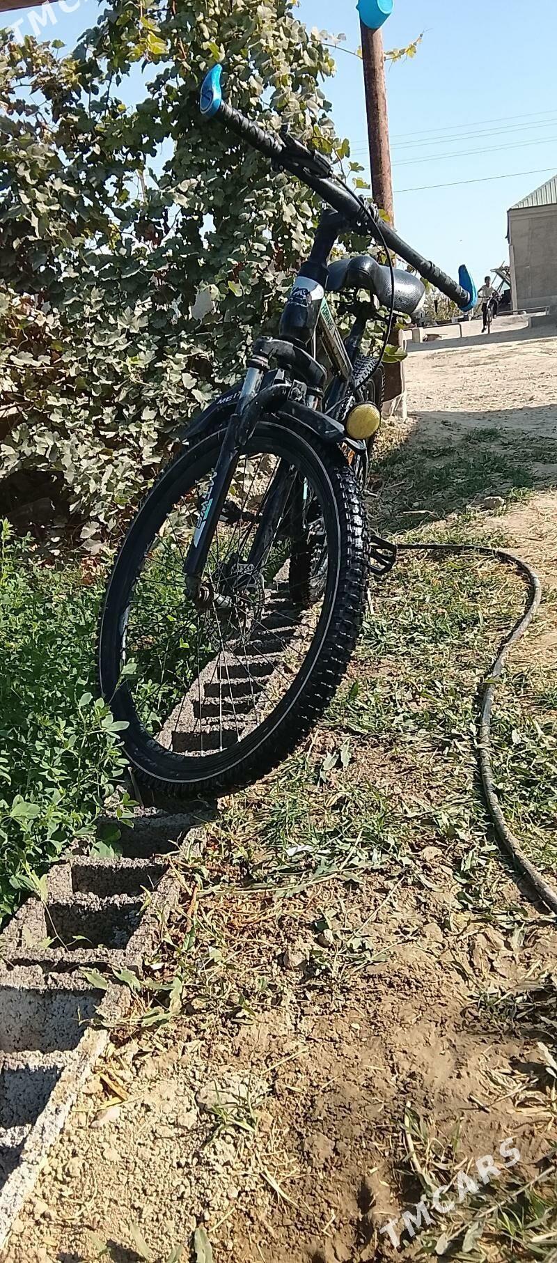 satlyk tigir - Bäherden - img 2