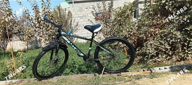 satlyk tigir - Bäherden - img 1