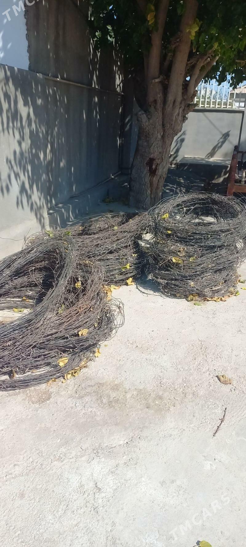 Sim poslamaýan - Аркадаг - img 1