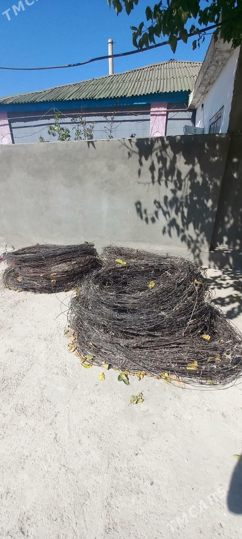 Sim poslamaýan - Аркадаг - img 2