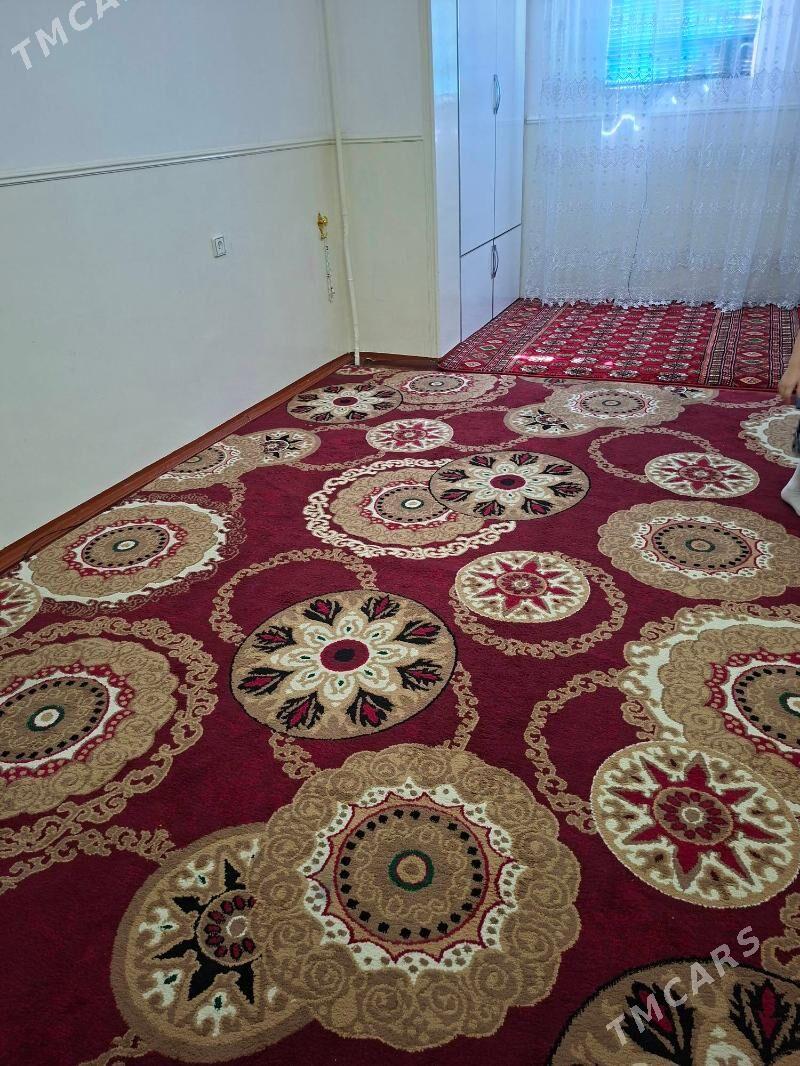 Haly - Sarahs - img 2