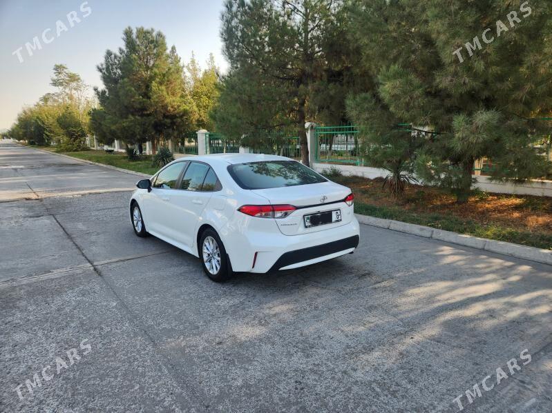 Toyota Corolla 2021 - 244 000 TMT - Ашхабад - img 3