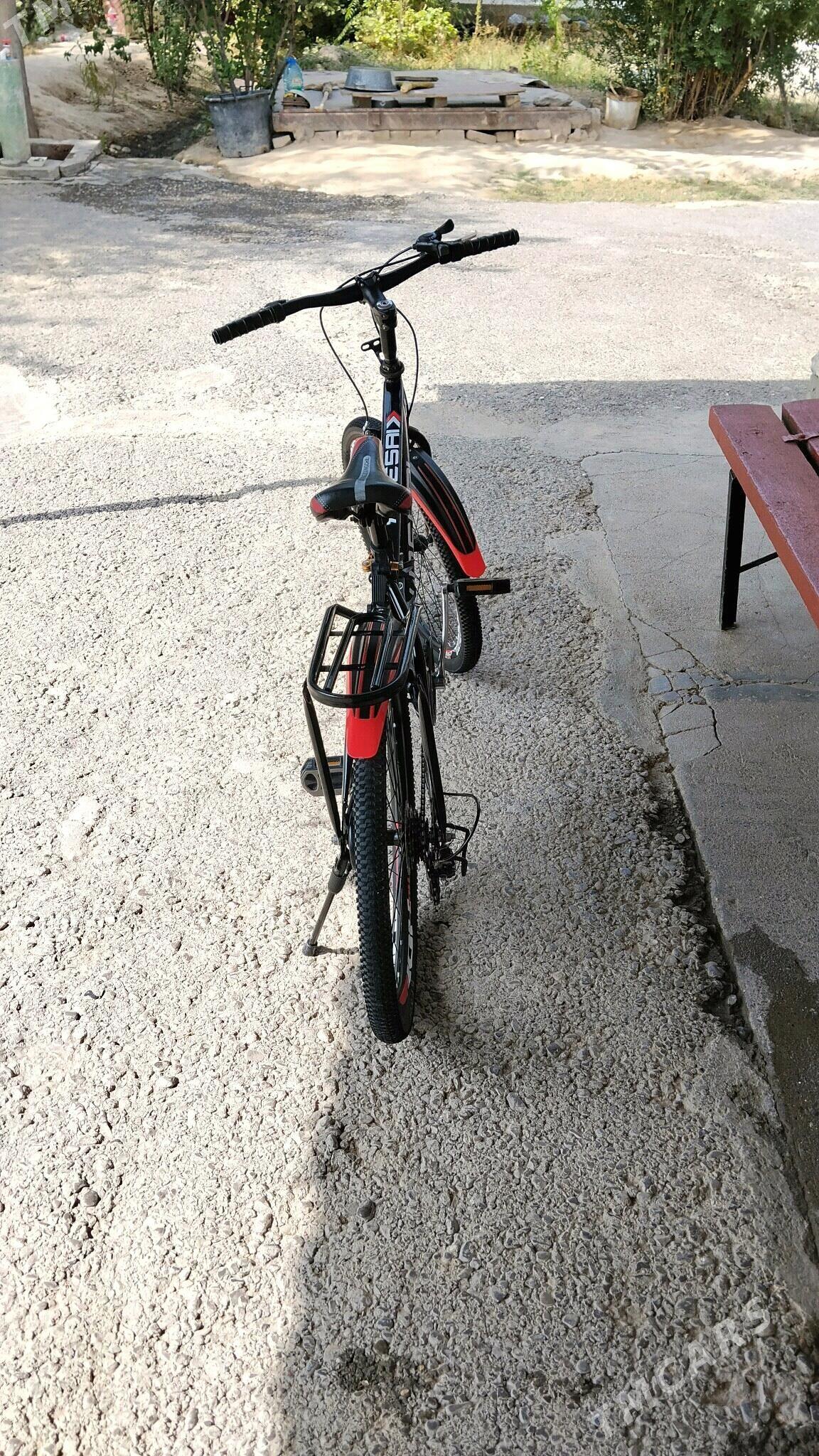 Tigir - Кëши - img 4