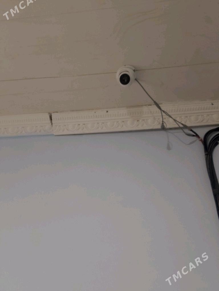 kamera - Mary - img 2