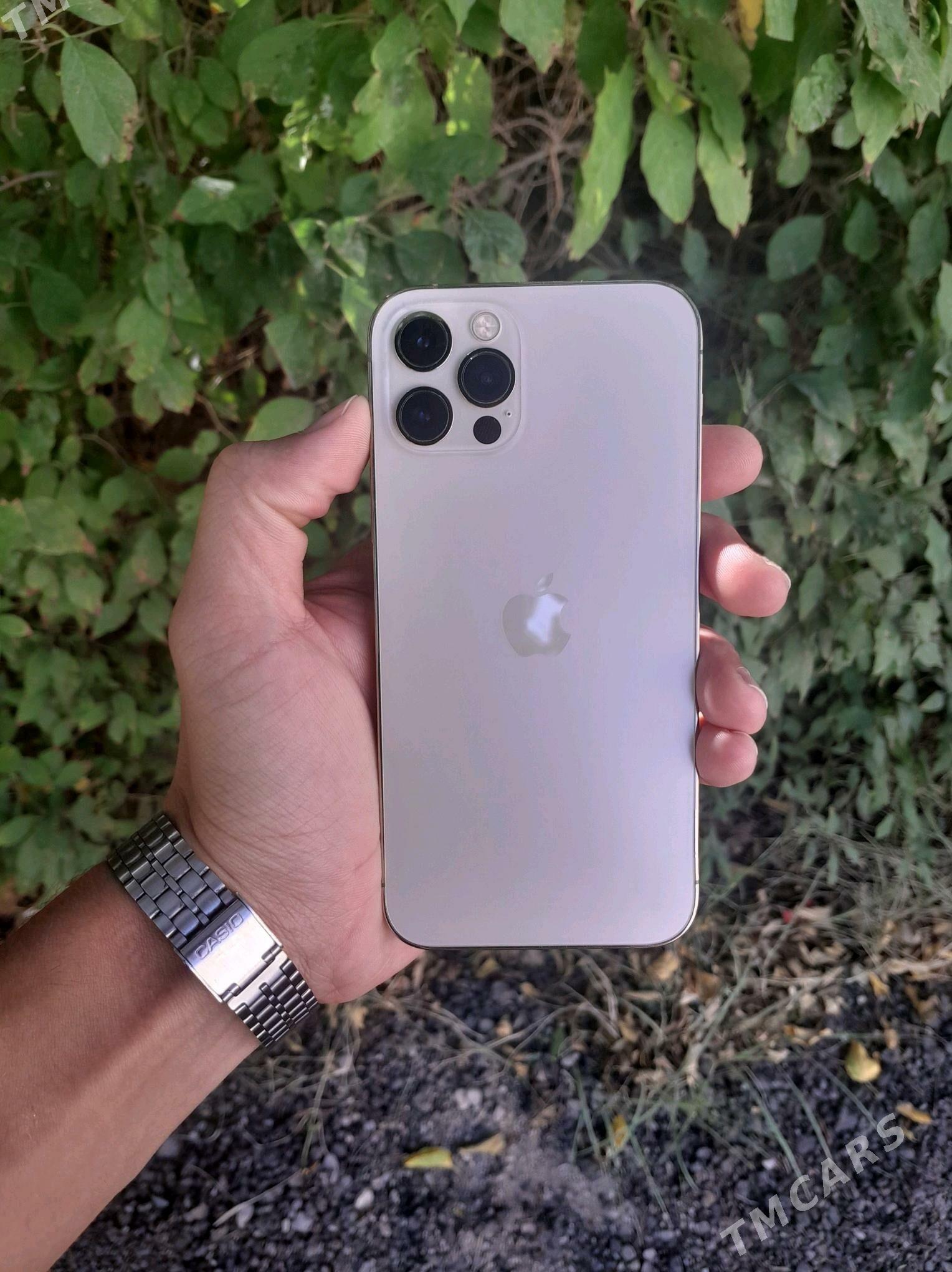 IPhone 12 pro gold - Ашхабад - img 1