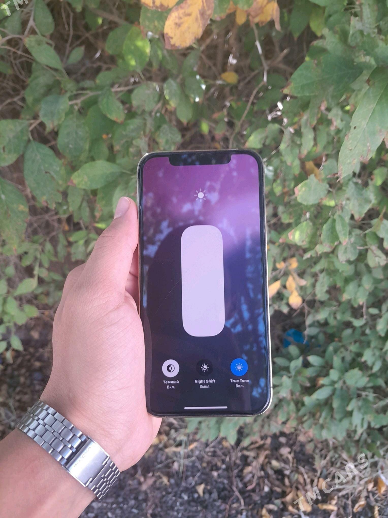 IPhone 12 pro gold - Ашхабад - img 2