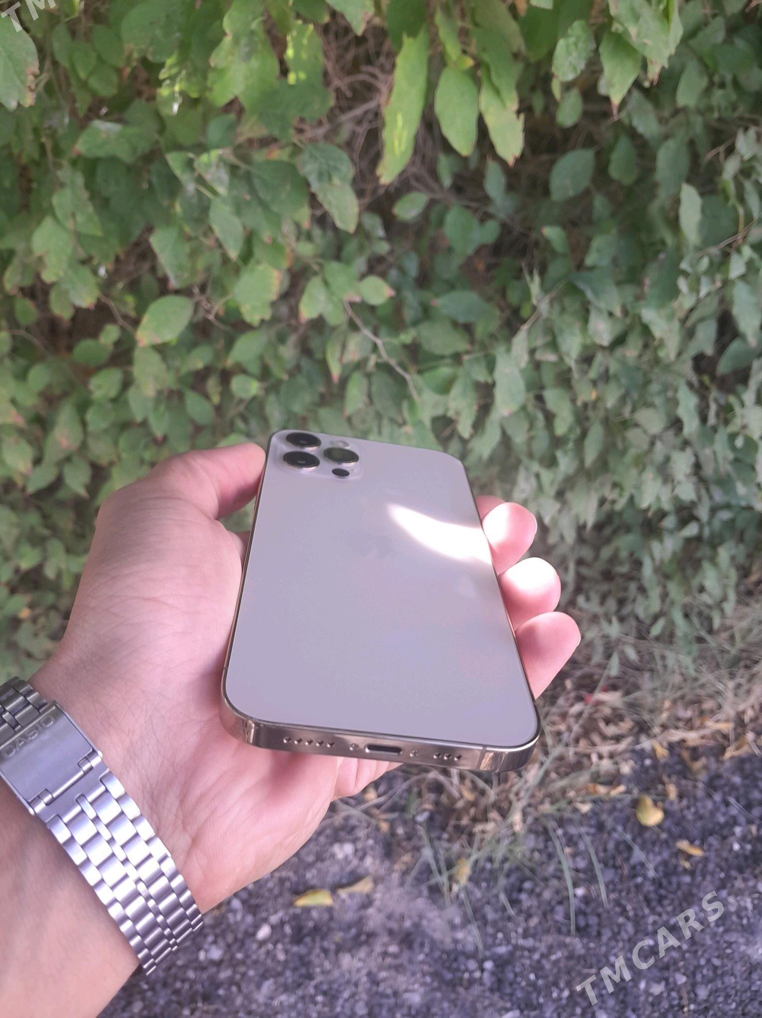 IPhone 12 pro gold - Ашхабад - img 3